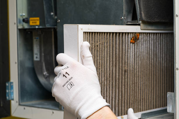 Best Air Filter Replacement Services in Farmington, MN