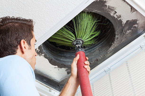 Best Air Duct Sanitization & Disinfection in Farmington, MN